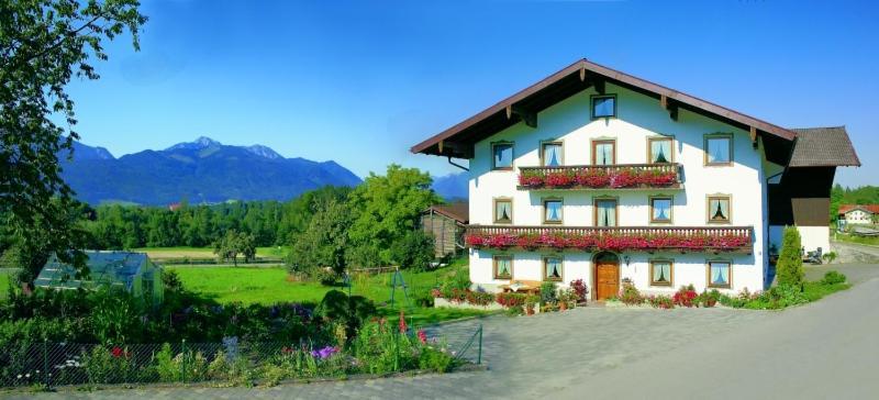 Beim Most'l Apartment Grabenstatt